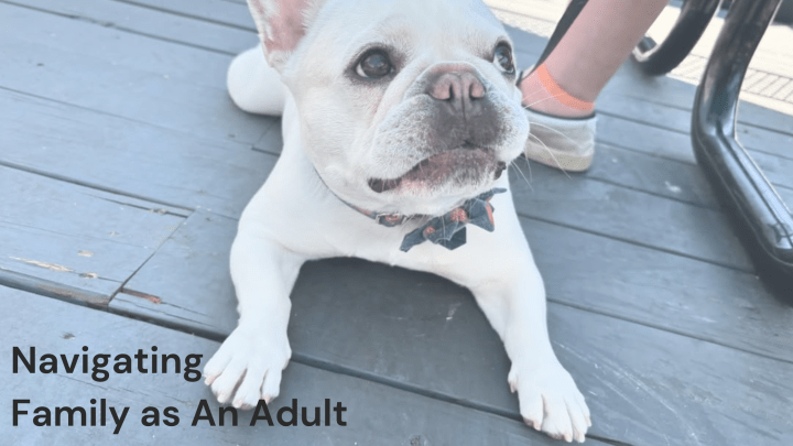 Navigating Family as An Adult