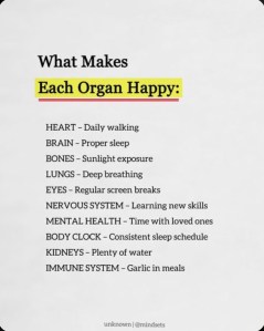 what makes each organ happy