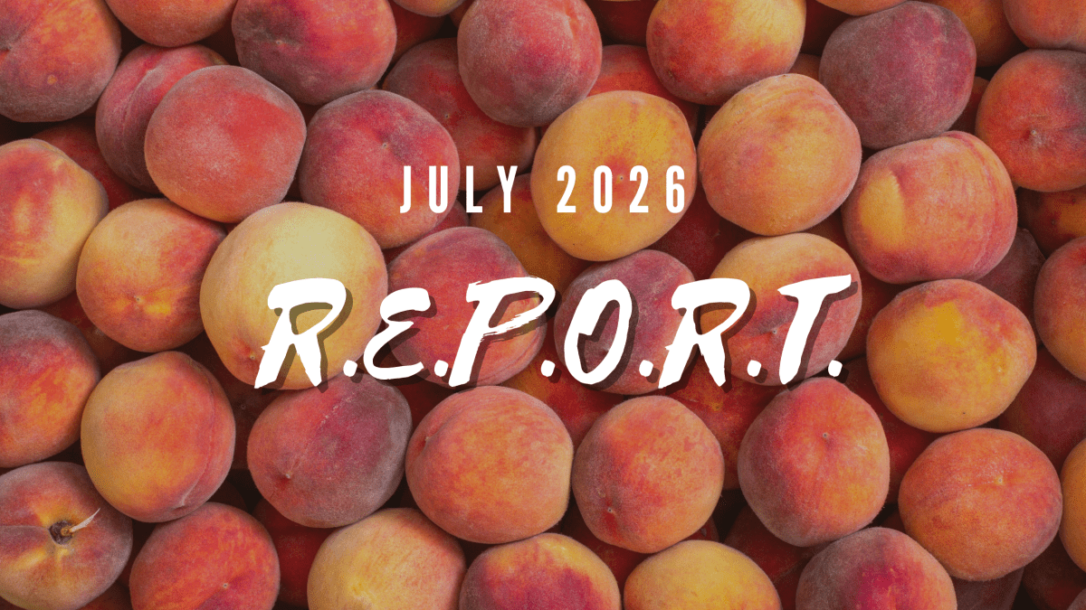 July 2026 R.E.P.O.R.T.