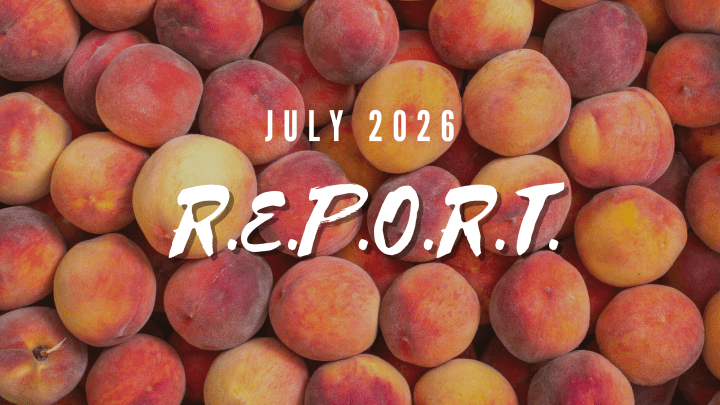 July 2026 R.E.P.O.R.T.